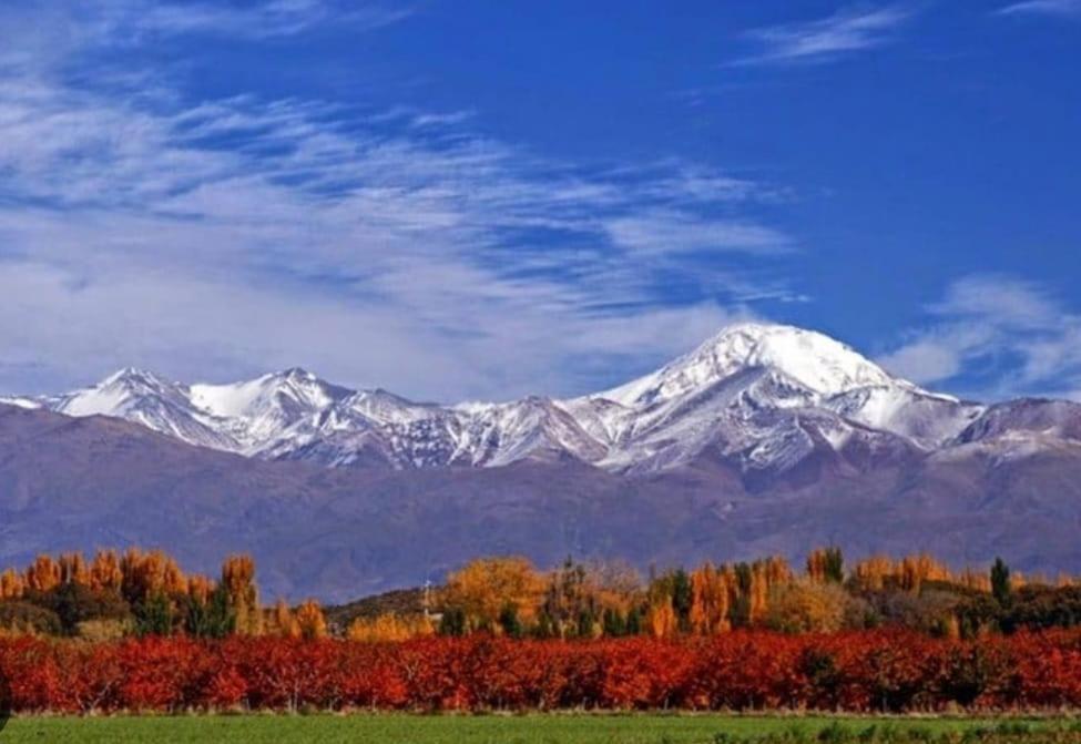 Mendoza Vina Y Sol Cochera Propia Apartment *